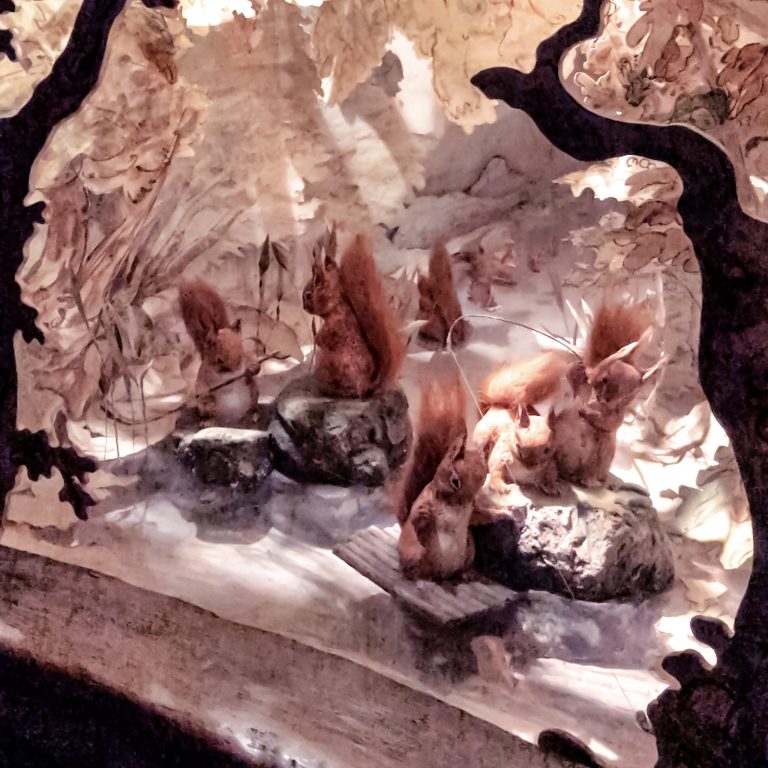 Tavel blog Beatrix Potter museum 3